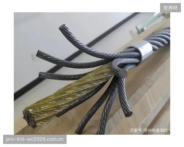 数据显示，对挡雪网钢丝绳进行投入更高的超低温拉伸应变弹性校准，可在其5年使用周期内将总维护成本降低30%